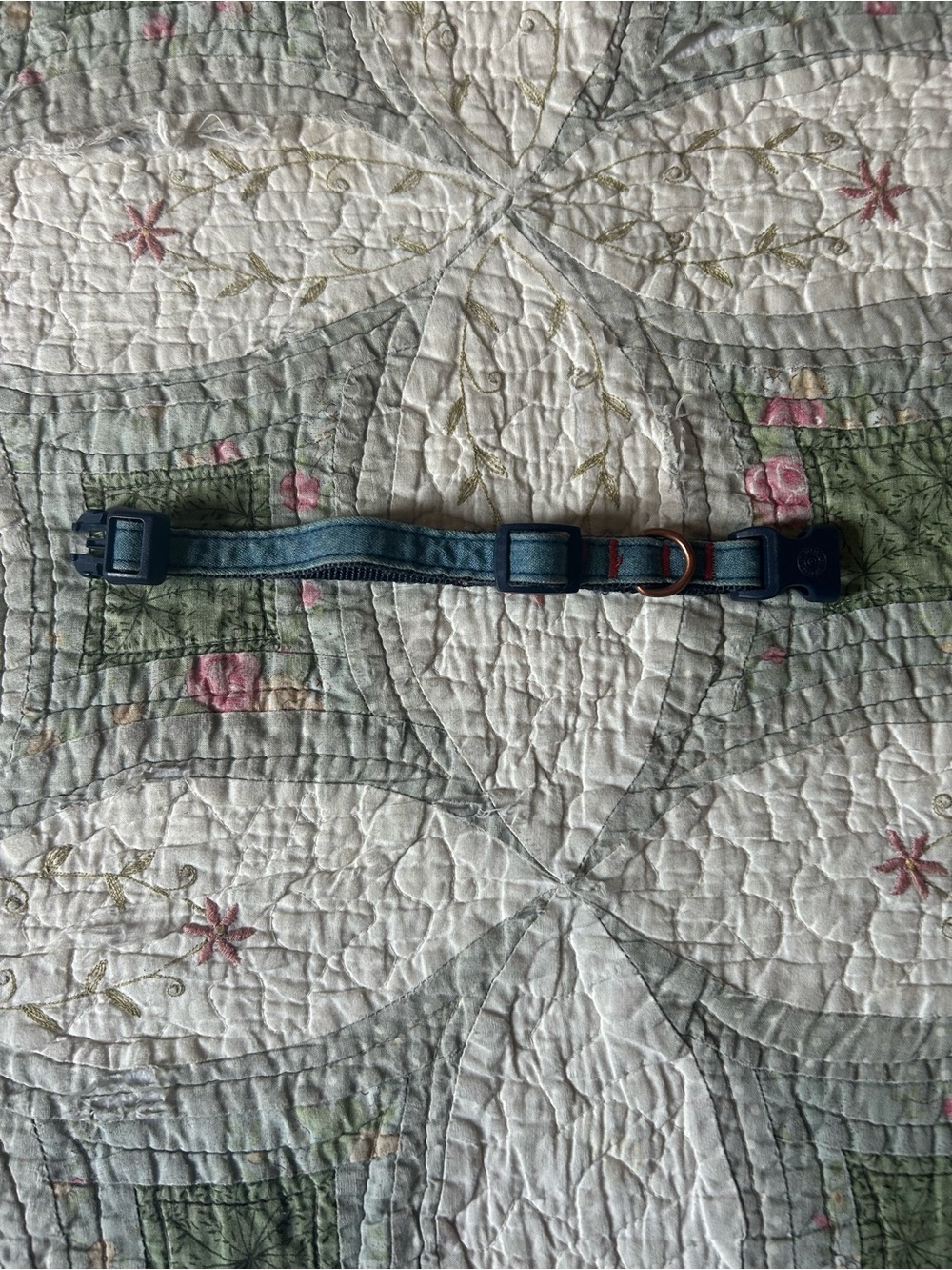 Adjustable Teal Dog Collar with Quick-Release Buckle